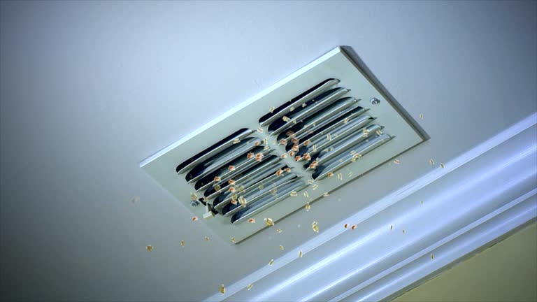 Best Ductwork Cleaning Services  in Gold Canyon, AZ