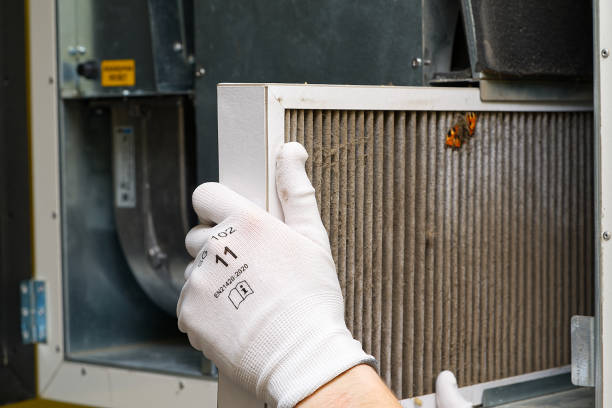 Best HVAC System Cleaning  in Gold Canyon, AZ