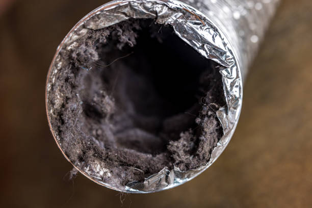 Best Residential Air Duct Cleaning  in Gold Canyon, AZ